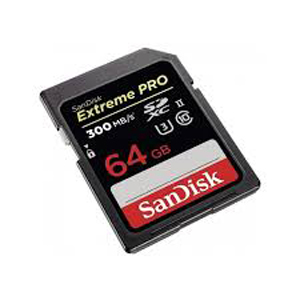 SanDisk SDSDXPK-064G-GN4IN